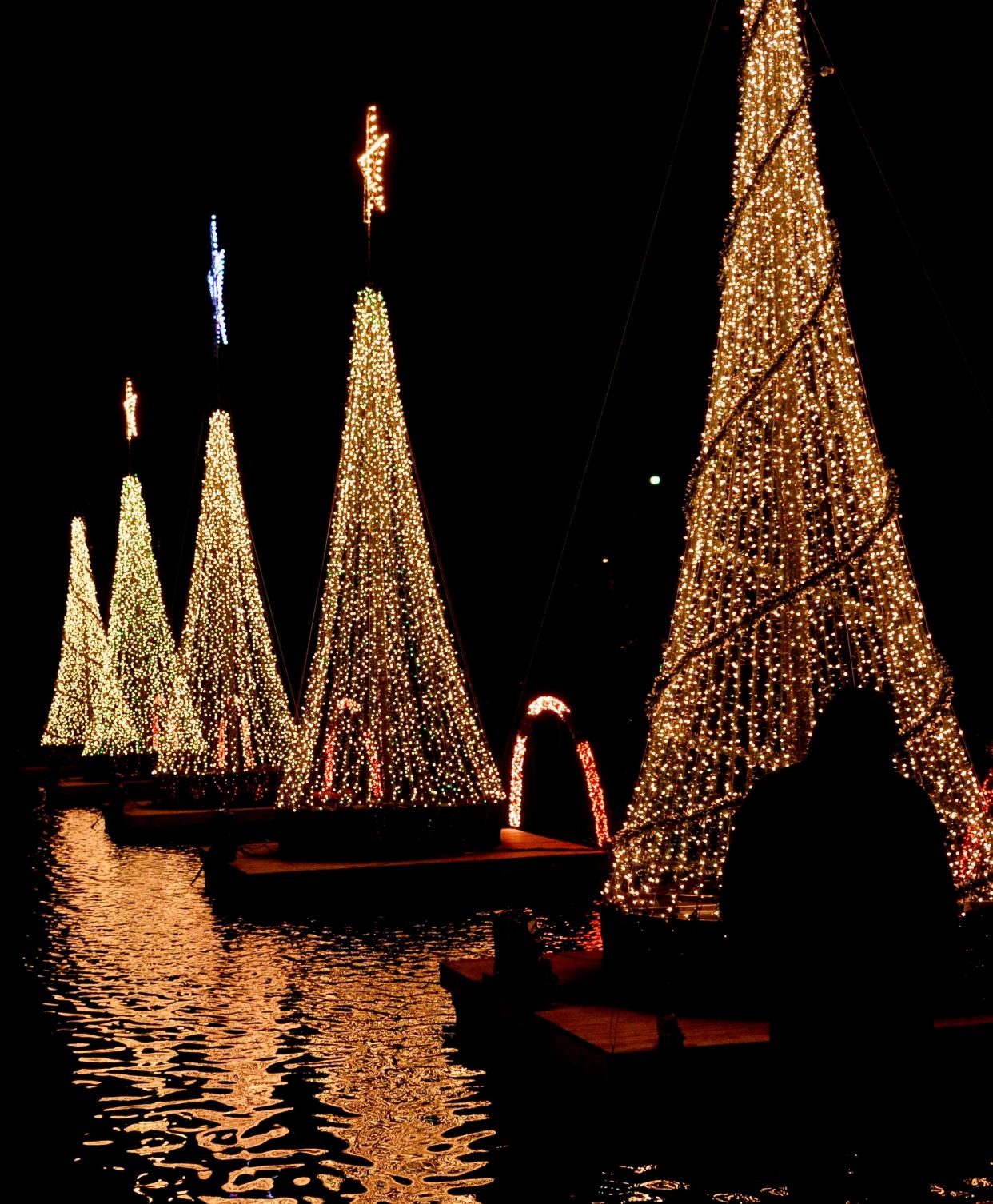 A man watches the Christmas tree light show at Hagerstown City Park in 2022. The 2023 lights will be lit on Friday, Dec. 1 during an event starting at 5 p.m.