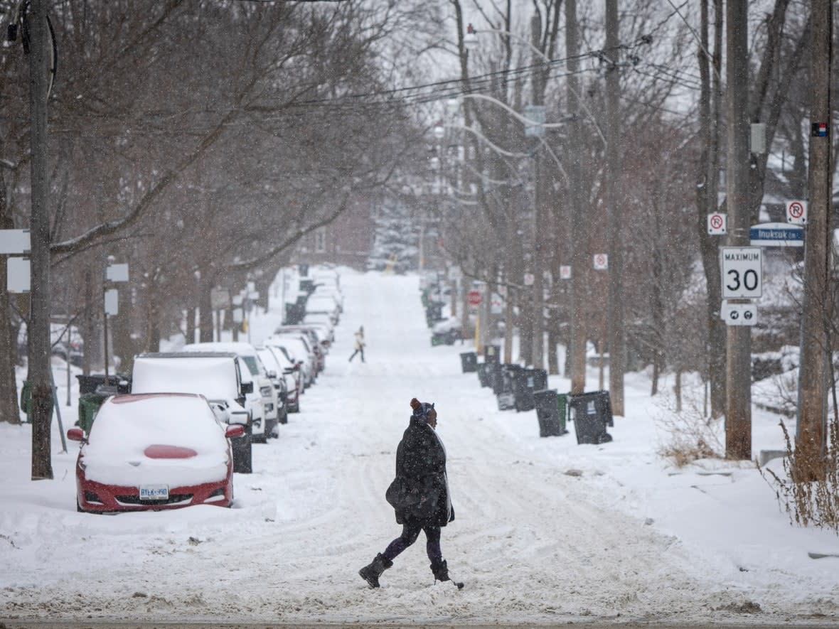 The Toronto District School Board says a storm that's expected to dump a significant amount of snow starting Sunday night could cause it to cancel buses, close schools and move classes online Monday. (Evan Mitsui/CBC - image credit)