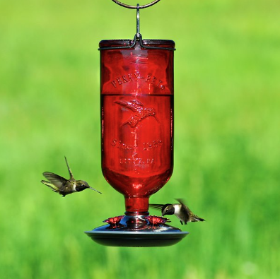 12) Antique Bottle Hummingbird Feeder, Red