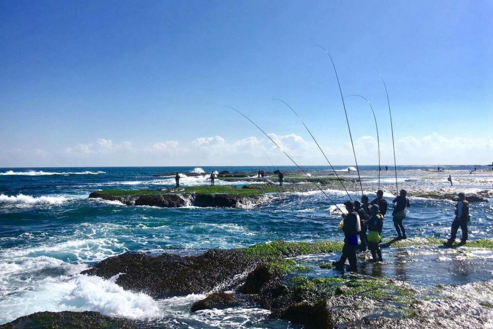 ▲東北海岸邊釣客成列、釣竿成排，不畏寒風，只為白毛。（圖/新北農業局提供）