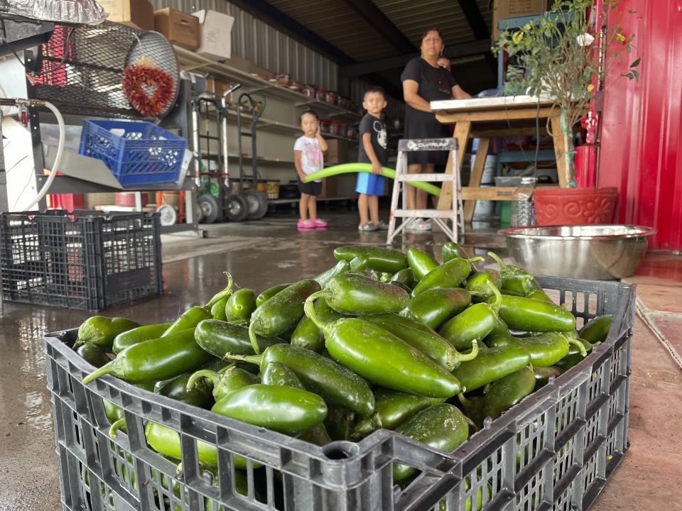 FILE - This July 12, 2021 file image shows a basket of fresh harvested green chile waiting to be roasted at Grajeda Hatch Chile Market in Hatch, New Mexico. Rural America continued to lose population in the latest U.S. Census numbers, highlighting an already severe worker shortage in those areas and prompting calls from farm and ranching groups for immigration reform to help alleviate the problem. (AP Photo/Susan Montoya Bryan)