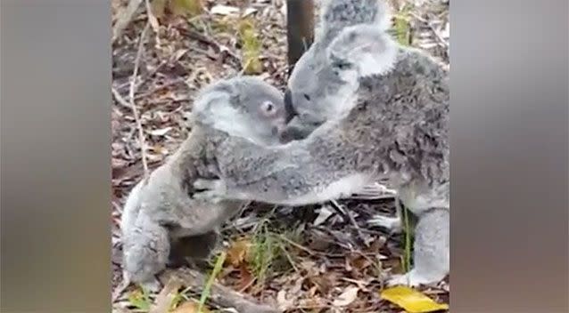 Make a Rosary • The Koala Mom