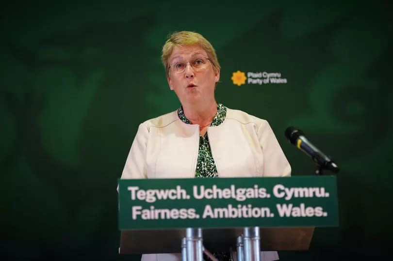 Plaid Cymru candidate for Caerfyrddin, Ann Davies