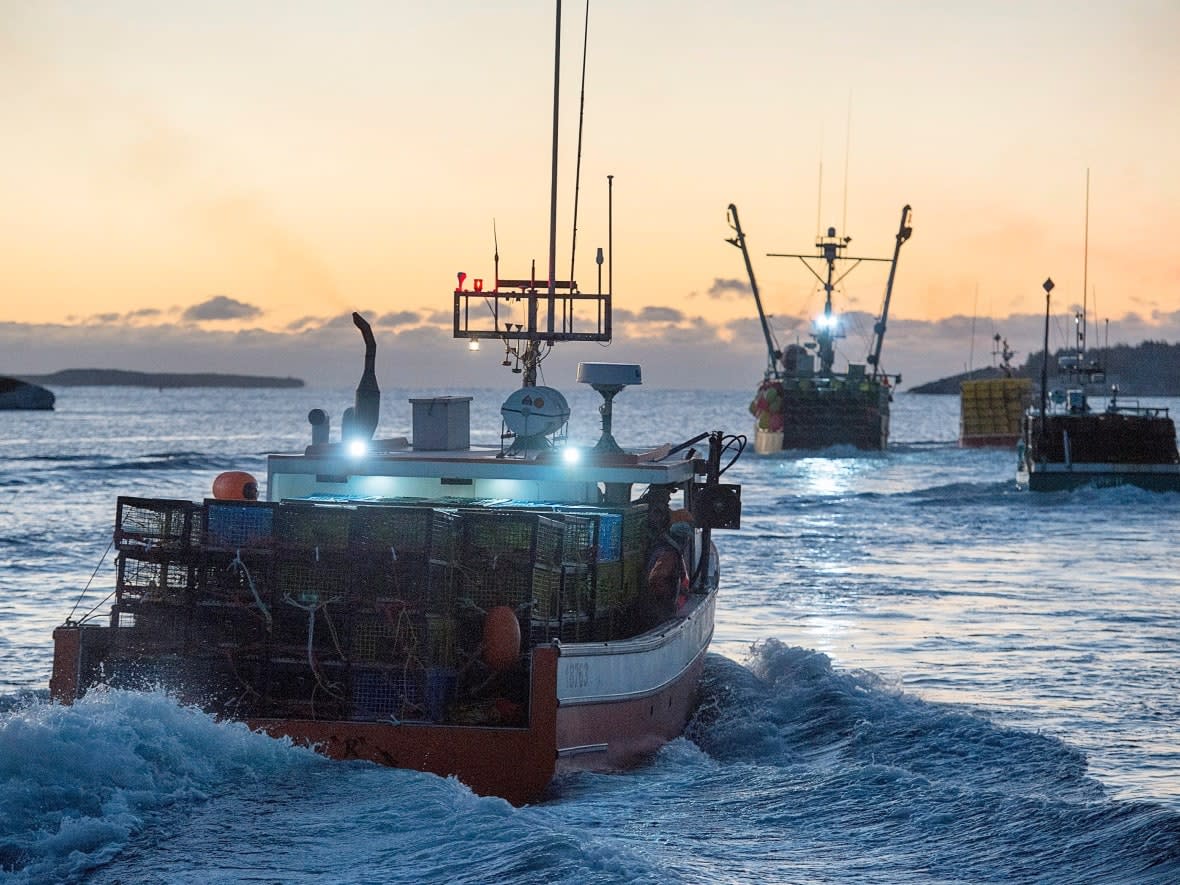 Lobster boats head from West Dover, N.S., on Tuesday, Nov. 29, 2016. (Andrew Vaughan/Canadian Press - image credit)