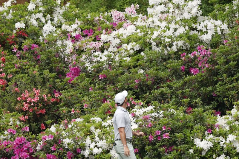 Rory McIlroy of Northern Ireland looks up at the surroundings while walking past azalea plants that line the pathway to the fairway on hole No. 13 during a practice round leading up the Masters Tournament on Tuesday at Augusta National Golf Club in Augusta, Ga. Photo by John Angelillo/UPI