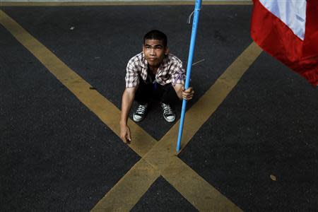 An anti-government protester holds the national flag as he joins others protesting outside the national police headquarters in Bangkok November 28, 2013. REUTERS/Damir Sagolj