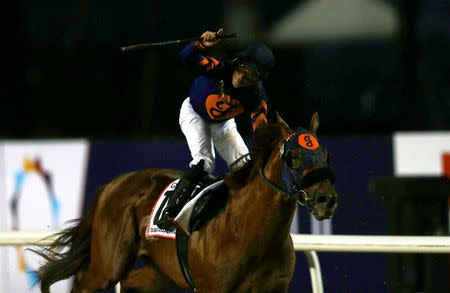 Horse Racing - Dubai World Cup - Meydan Racecourse, Dubai - 25/3/17 - Joel Rosario rides Mind Your Biscuits as he celebrates winning the sixth race. REUTERS/Stringer