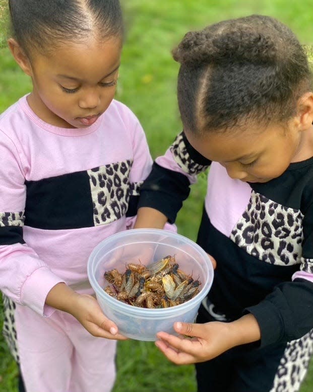 Four-year-old twins, Meena and Nyla Claytor-Howard, collect and observe a group of cicadas near their grandmother's home in Burke, Virginia.