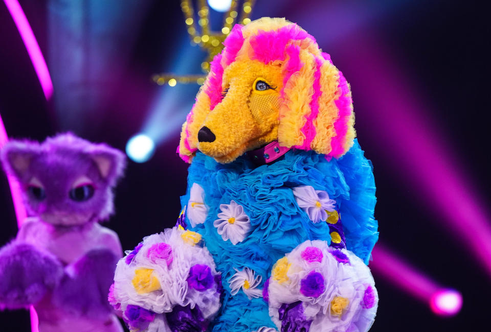 The Masked Singer's Poodle turned out to be Tom Chaplin from Keane. (Bandicoot/ITV)