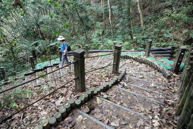 ▲太平區蝙蝠洞登山步道(圖／觀旅局提供2024.6.6)