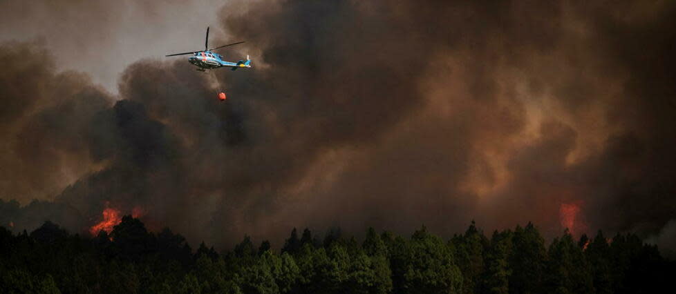 Depuis le début de l'année, plus de 220 000 hectares sont partis en fumée à la suite d'incendies en Espagne. (image d'illustration)  - Credit:ANDRES GUTIERREZ / ANADOLU AGENCY / Anadolu Agency via AFP