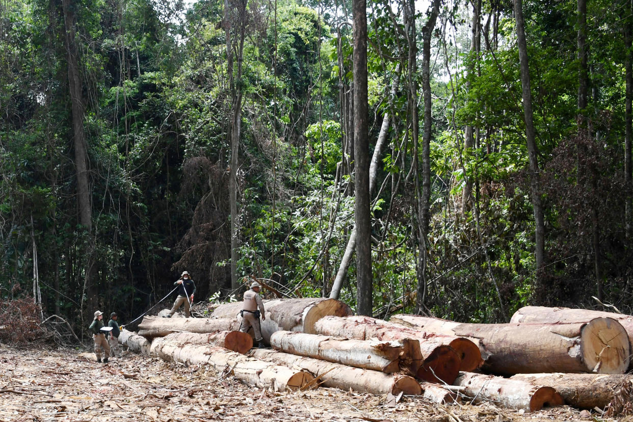 Image: Brazil Amazon forest (Evaristo Sa / AFP via Getty Images file)