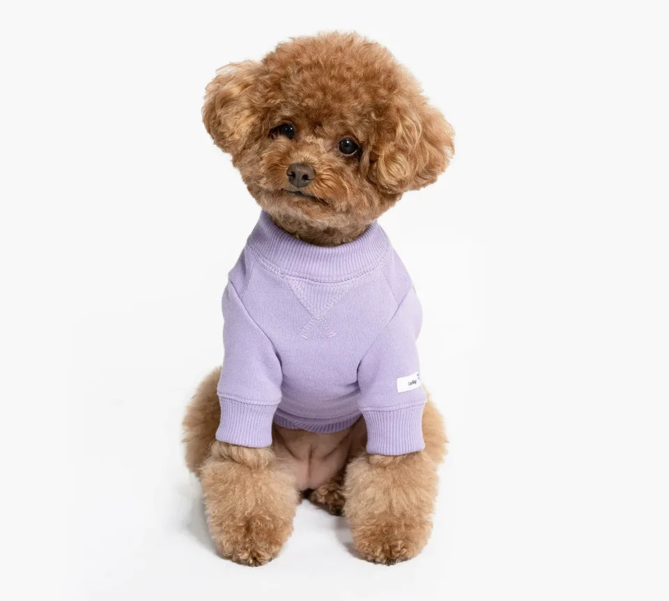 laelap, small dog sweater, sustainable dog sweater