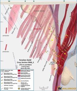 Fenelon Gold, Cross Section 9900_E