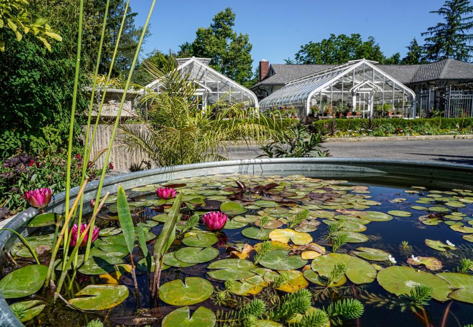 A cutting garden in front of the greenhouse features Monet's beloved water lillies for Lume Indianapolis, Featuring Monet & Friends Alive, during a media preview on Thursday, June 30, 2022, at the Indianapolis Museum of Art in Indianapolis. 