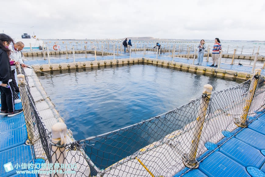 澎湖｜海洋牧場