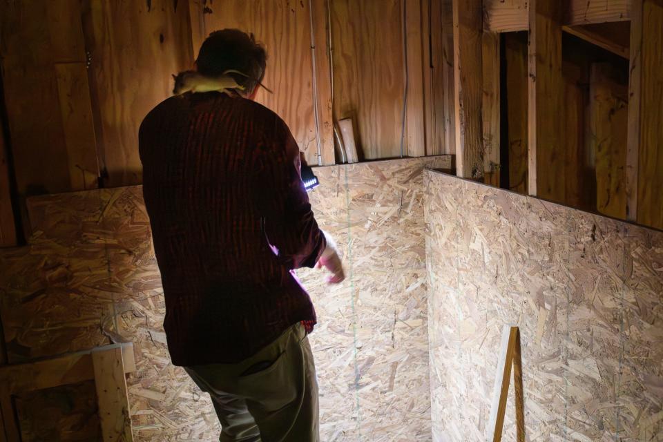 A rat runs up and jumps off Fayetteville Observer reporter Paul Woolverton while he was investigating the rat issue at Chuck and Alison Marrs' stables, Fourth Rock Stables, near Lumber Bridge on Wednesday, July 26, 2023.