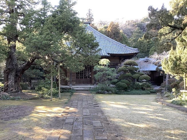 鎌倉五山之一的夀福寺是北條政子請了名僧榮西來建的名寺，榮西是讓日本人有喝茶習慣的始祖性人物   圖：劉黎兒/攝