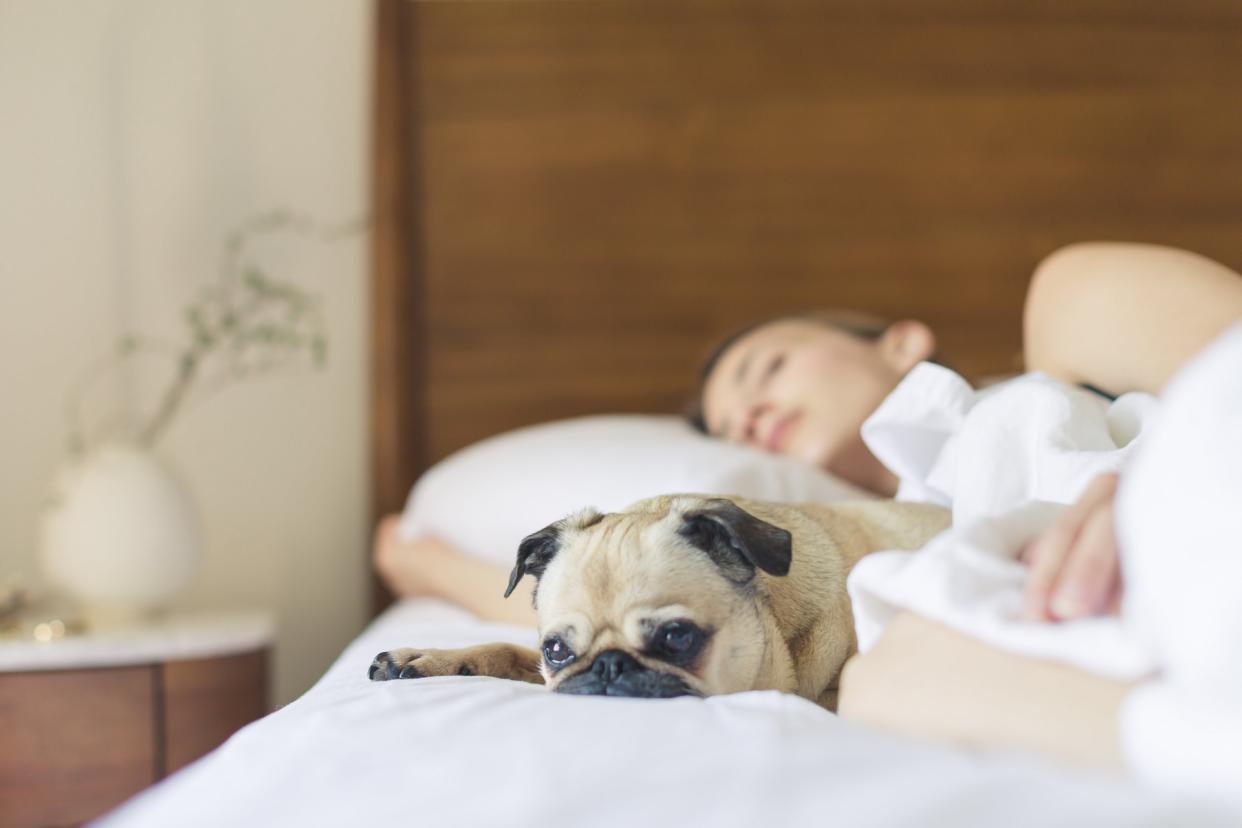 Weekend lie-ins could help you live longer [Photo: Burst via Pexels]