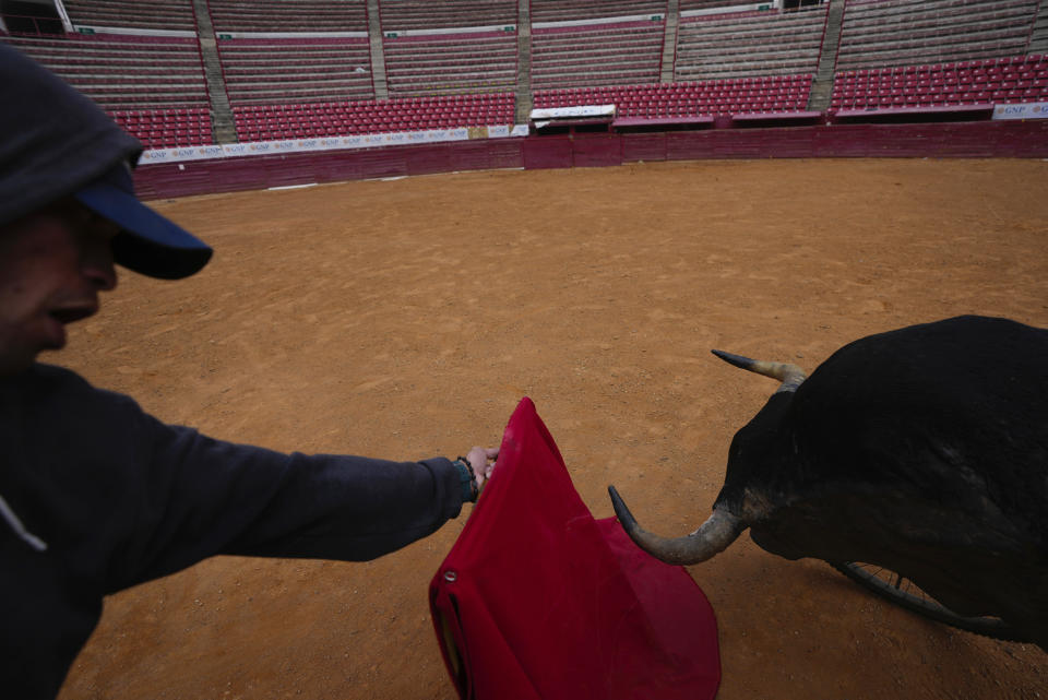 A bullfighter practices at the Plaza Mexico bullring in Mexico City, Tuesday, Dec. 12, 2023. Bullfighting took a critical blow in 2022 when a judge banned the controversial sport in Mexico City, but now the country's Supreme Court of Justice has overturned the ban. (AP Photo/Fernando Llano)