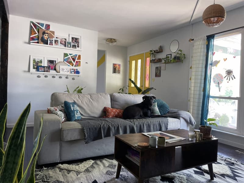 white living room with floating shelves of art, and dog on gray sofa