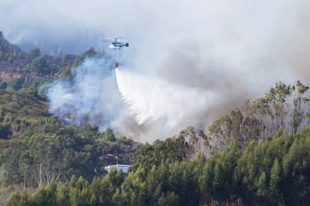 A helicopter carries water to fight a forest fire seen in the village of Guia