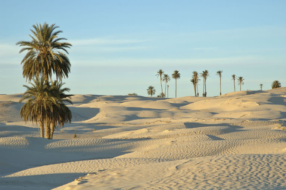 Tunisia is located on the edge of North Africa and is lined with the stunning Mediterranean coastline. Take a look at an oasis in Tunisia desert.