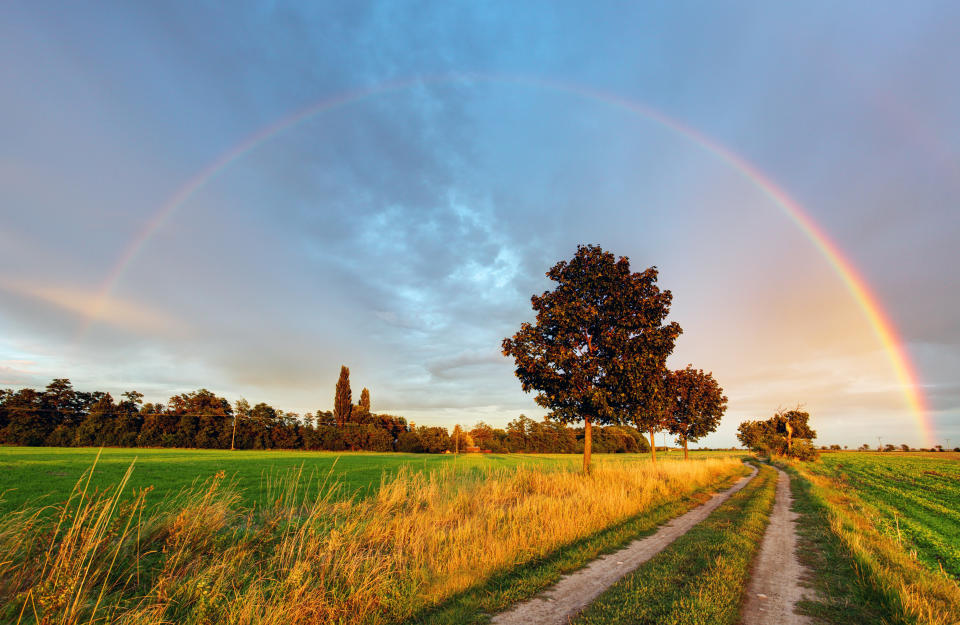 Das Wochenende beginnt noch sommerlich warm, ab Sonntagnachmittag wird es regnerischer und kühler. (Symbolbild: Getty Images)