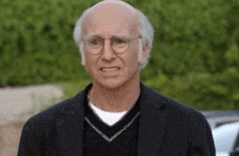 Larry David cringing