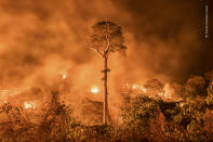 A fire burns out of control in Maranhão state, northeastern Brazil. A single tree remains standing –‘a monument to human stupidity’, says Charlie, who has been covering deforestation in the Amazon for the past decade.