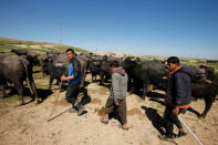 Displaced Iraqi farmers from Badush, northwest of Mosul, who fled their village and later returned to retrieve their buffaloes go about their day as the battle against Islamic State's fighters continues in Mosul, Iraq, March 25, 2017. REUTERS/Youssef Boudlal