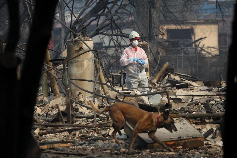 A rescue worker and her dog search the Paradise Gardens apartments for victims of the deadly fire (Getty Images)