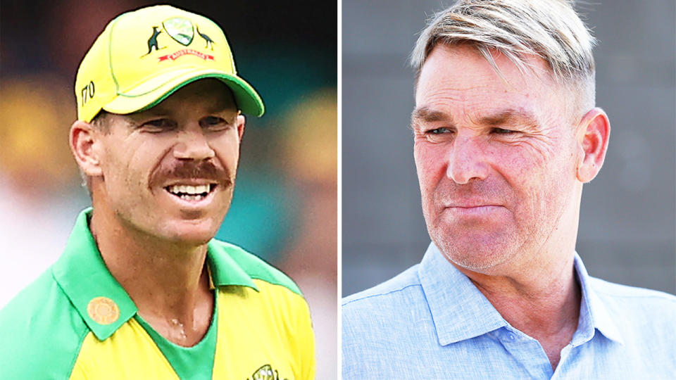 Shane Warne (pictured right) before an interview and David Warner (pictured left) during a match.