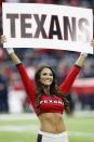 <p>Houston Texans cheerleaders lead the crowd in a cheer against the Jacksonville Jaguars at NRG Stadium on December 18, 2016 in Houston, Texas. (Photo by Tim Warner/Getty Images) </p>