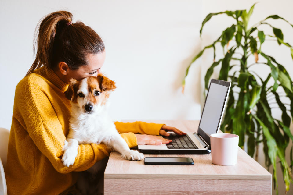 Pets have been the saviours of lockdown, keeping us company while we sit at home in our pyjama. Photo: Getty