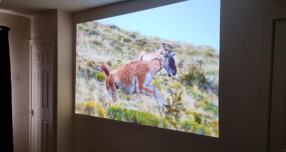 Dangbei Neo Smart Projector playing Blue Planet