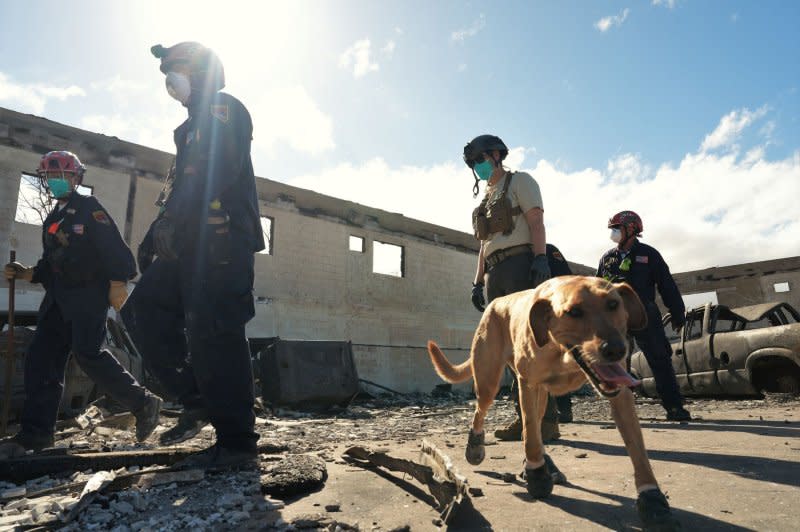 FEMA Urban Search and Rescue teams work with local fire departments and National Guard in Lahaina, Maui, on Wednesday. Photo by Dominick Del Vecchio/FEMA/UPI