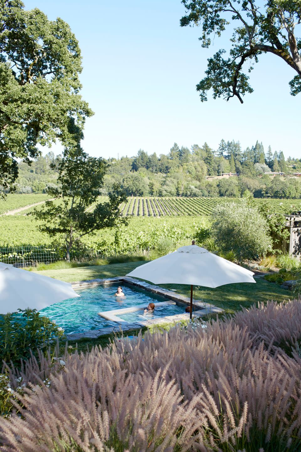 <p>Low-lieing but easy to maintain 'Karley Rose' grass accentuates a view of the pool and vineyard in the backyard of this California home.</p><p><strong><a href="https://www.countryliving.com/home-design/house-tours/g1427/california-farmhouse-garden/" rel="nofollow noopener" target="_blank" data-ylk="slk:Read more about this California home;elm:context_link;itc:0;sec:content-canvas" class="link ">Read more about this California home</a>.</strong></p><p><a class="link " href="https://go.redirectingat.com?id=74968X1596630&url=https%3A%2F%2Fwww.etsy.com%2Flisting%2F878056544%2F18-karley-rose-plants-pennisetum-o&sref=https%3A%2F%2Fwww.countryliving.com%2Fgardening%2Fgarden-tours%2Fg1432%2Flandscaping-ideas%2F" rel="nofollow noopener" target="_blank" data-ylk="slk:SHOP KARLEY ROSE GRASS;elm:context_link;itc:0;sec:content-canvas">SHOP KARLEY ROSE GRASS</a></p>