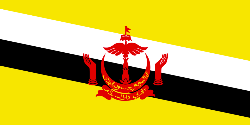 <em>Provisions in Brunei’s Penal Code would allow stoning and amputation as punishments (Wikipedia)</em>