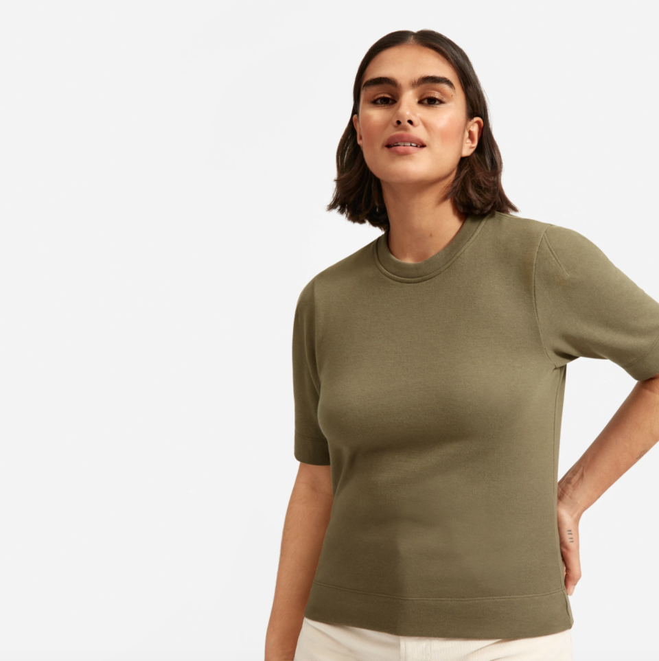 The Lightweight French Terry Puff-Sleeve Tee. Image via Everlane.