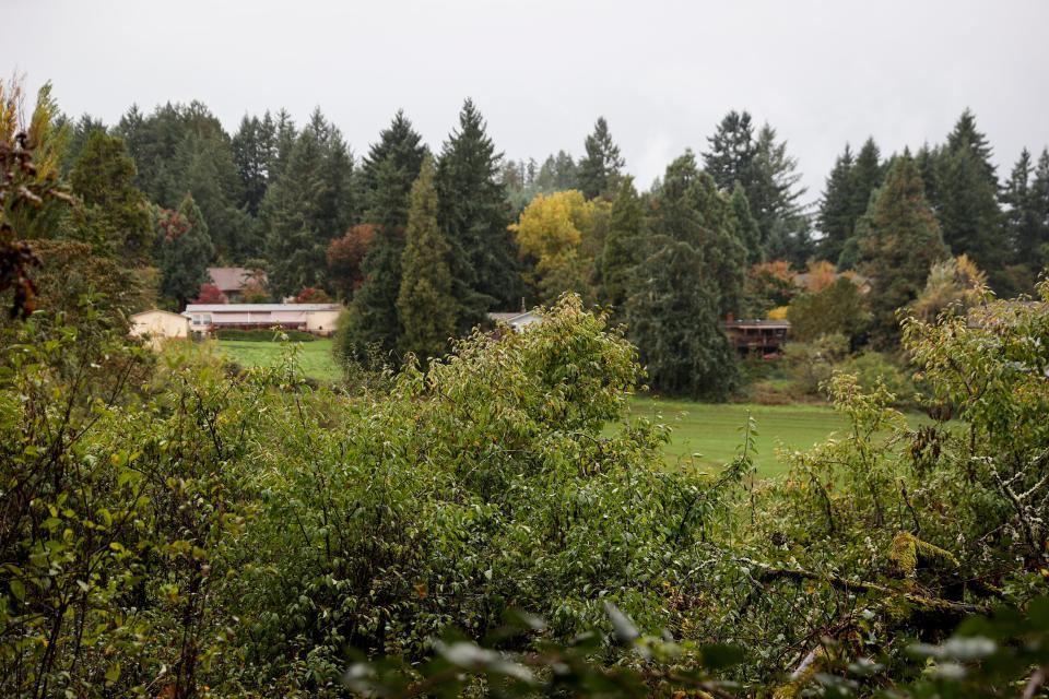 A developer of the Titan Hill Estates in West Salem proposed removing 46 trees deemed significant − white oaks larger than 24 inches in diameter and Douglas firs larger than 30 inches in diameter − on the future site of 436 apartments. The city of Salem and the developer agreed all but four trees could be removed, reducing the complex by 18 units.