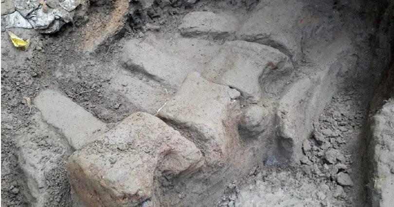 挖掘團隊在屏東恆春頭溝發現鯨魚椎體化石。（成大提供／洪榮志台南傳真）