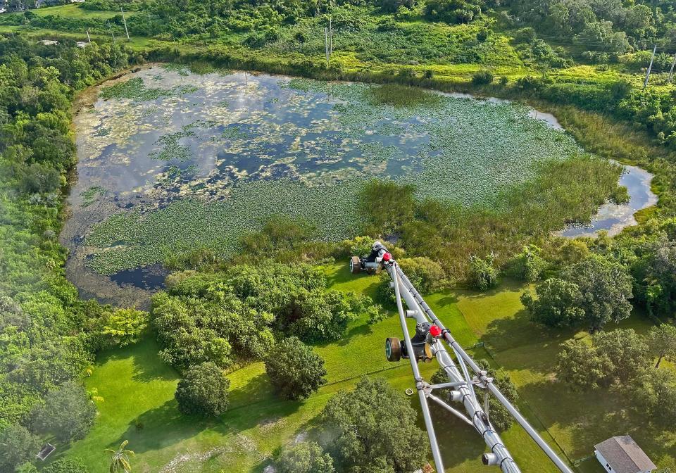 Pictured here is a freshwater swamp in Manatee County. This is the type of swamp area that is the most dangerous for malaria breeding.