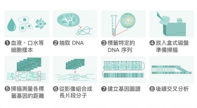 全基因體圖譜繪製流程。 資料來源│Vilella Genomics 圖片重製│張語辰