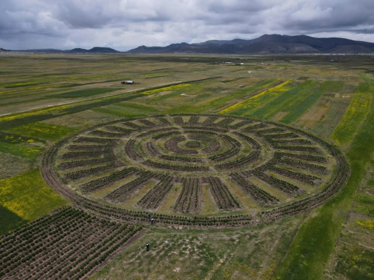 An aerial view shows a pre-Hispanic agricultural system called Waru Waru, in a field in the Acora district in Puno, Peru, on February 6, 2024 (Juan Carlos CISNEROS)