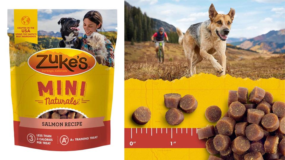 Your dog needs good running nutrition too.