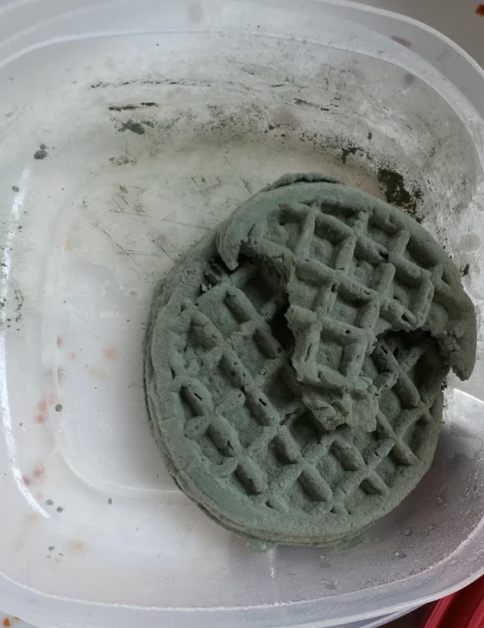 moldy Eggos