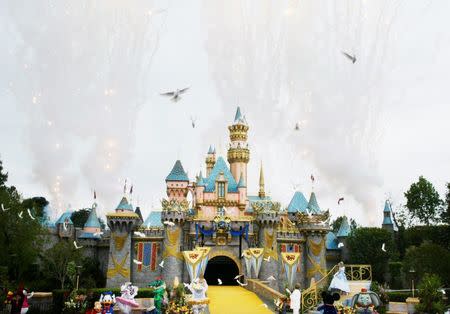 Fireworks fill the sky and doves are released during the finale at Disneyland's 50th anniversary celebration ceremony at the Disneyland theme park as "The Happiest Homecoming on Earth" begins in Anaheim, California in this May 5, 2005 file photo. REUTERS/Fred Prouser