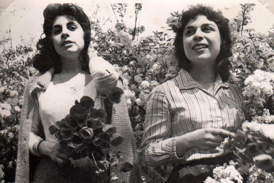 life in Iran before the revolution, 1970s, family photo album