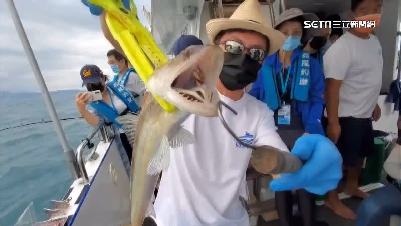 海洋保育署推動「友善釣魚」活動，當場就釣到一隻全台第3毒的「鰻鯰」。